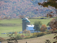 Amish Farm Picture